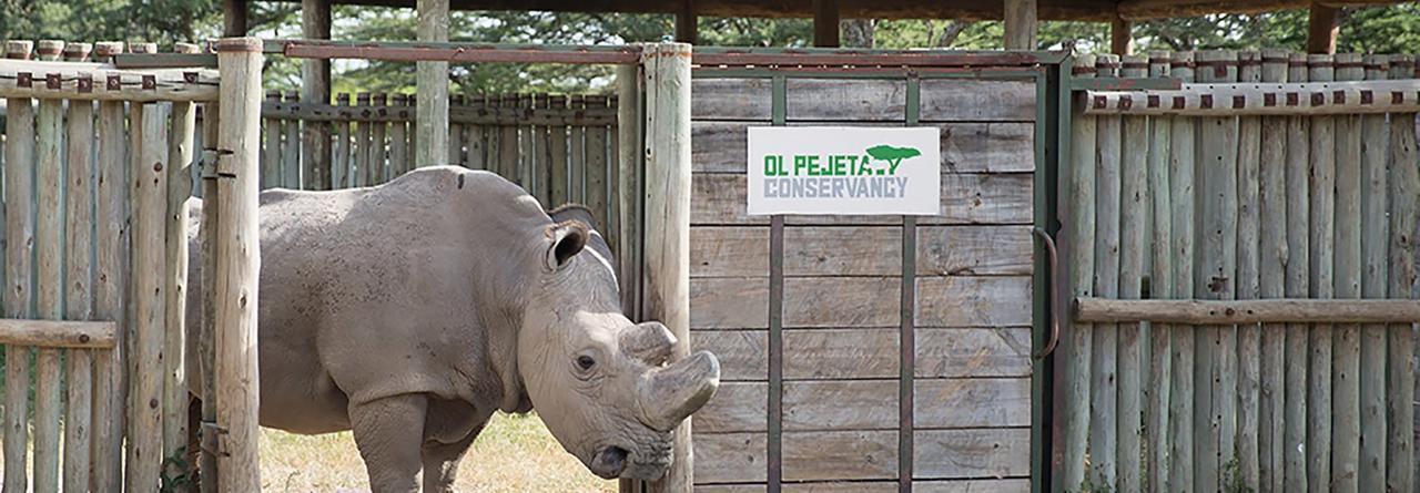 Ol Pejeta Holiday Villas Nanyuki Kültér fotó